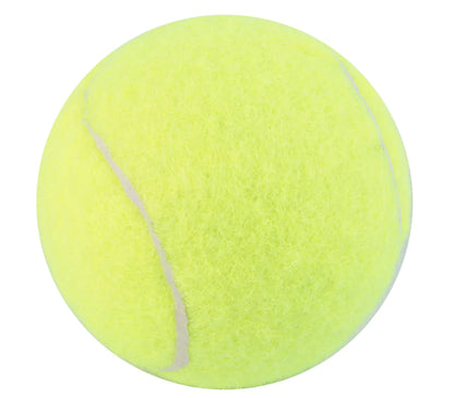 Tennis Training Elastic Balls